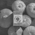 LEROS Čajový dýchánek chilli, zázvor&dýně 20x2g